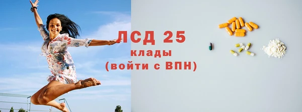 сатива Балахна