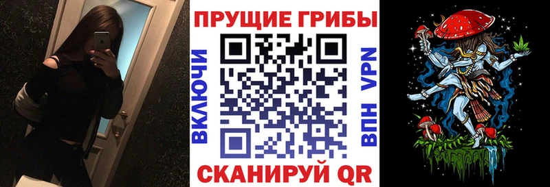 Галлюциногенные грибы Psilocybe наркошоп Теберда
